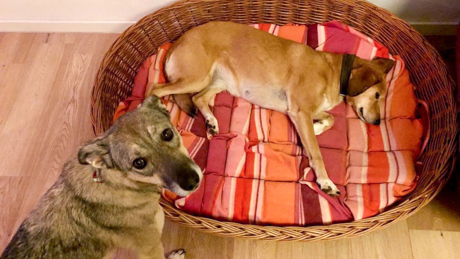 Pardon, ist hier noch frei?