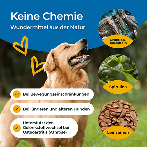 Probepackung - Gelenke