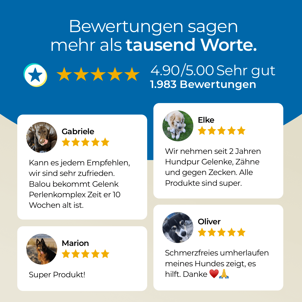 Probepackung - Gelenke