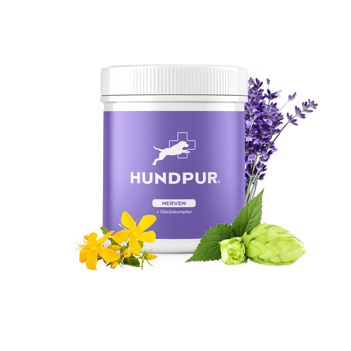 Hundpur® Nerven mit Glückskomplex 20% + Gratis Dino