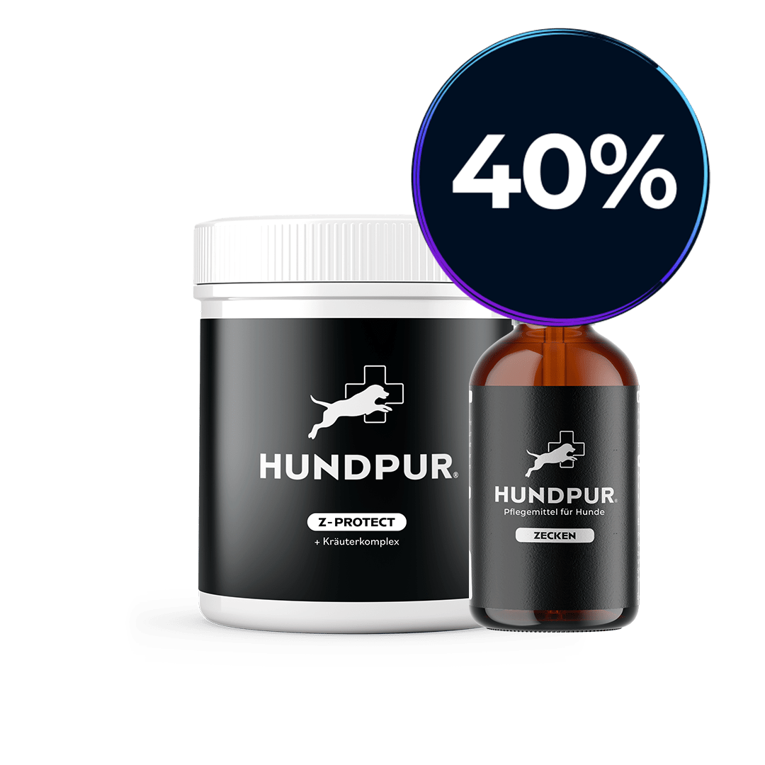 Hundpur® Z-Protect Bundle