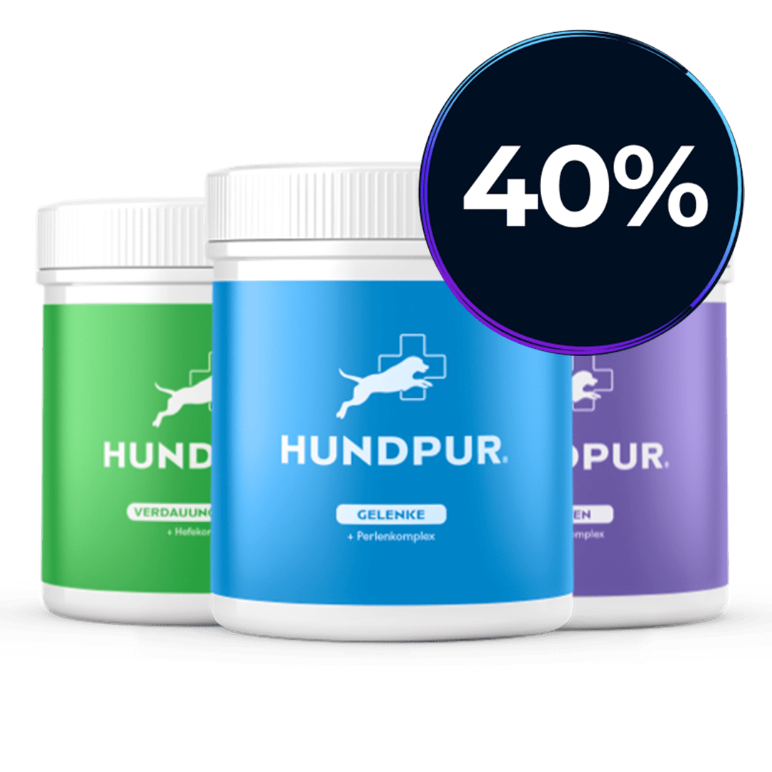 Hundpur® Bestseller Bundle