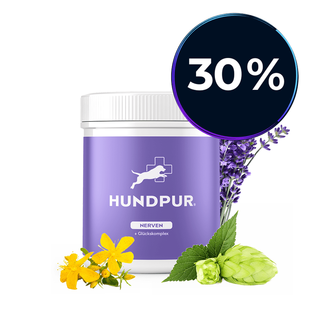 Hundpur® Nerven mit Glückskomplex