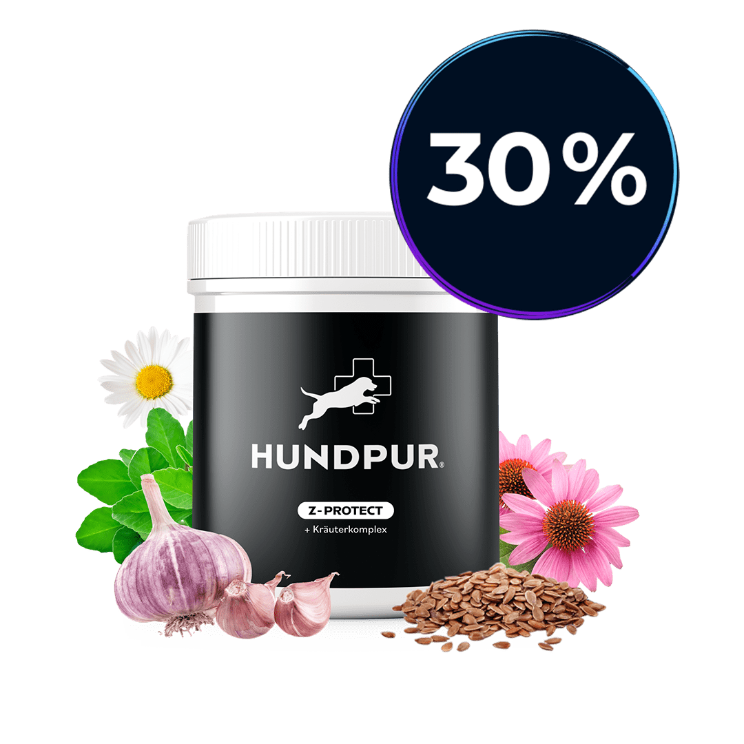 Hundpur® Z-Protect mit Kräuterkomplex