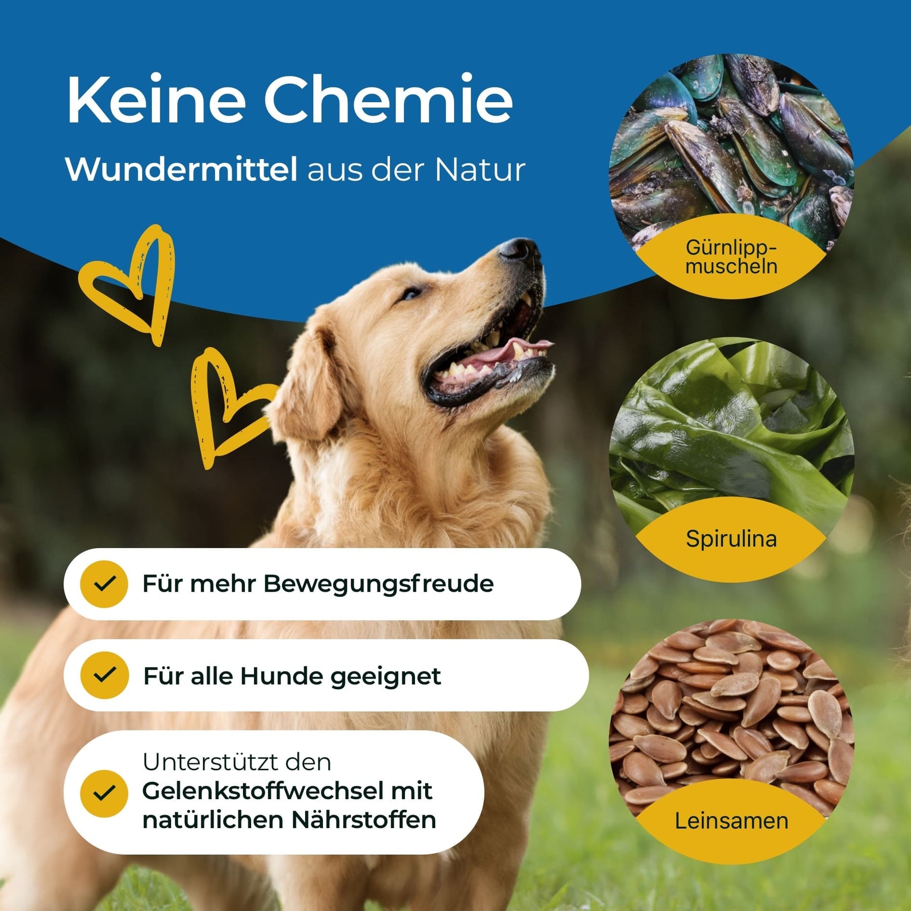 Hundpur® Gelenke
