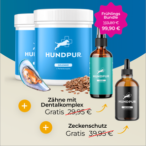 Hundpur® Gelenke Doppelpack + GRATIS Dentalspray + GRATIS Zeckenschutz