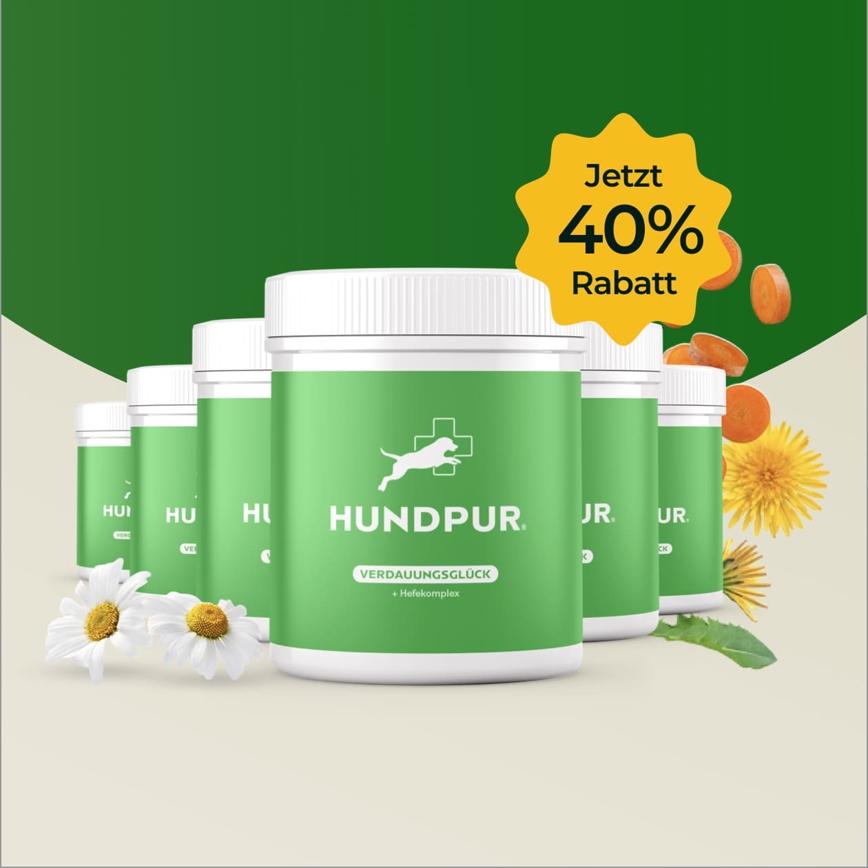 Hundpur® Verdauungsglück 40%