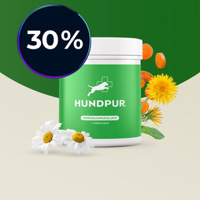 Hundpur® Verdauungsglück mit Probiotika