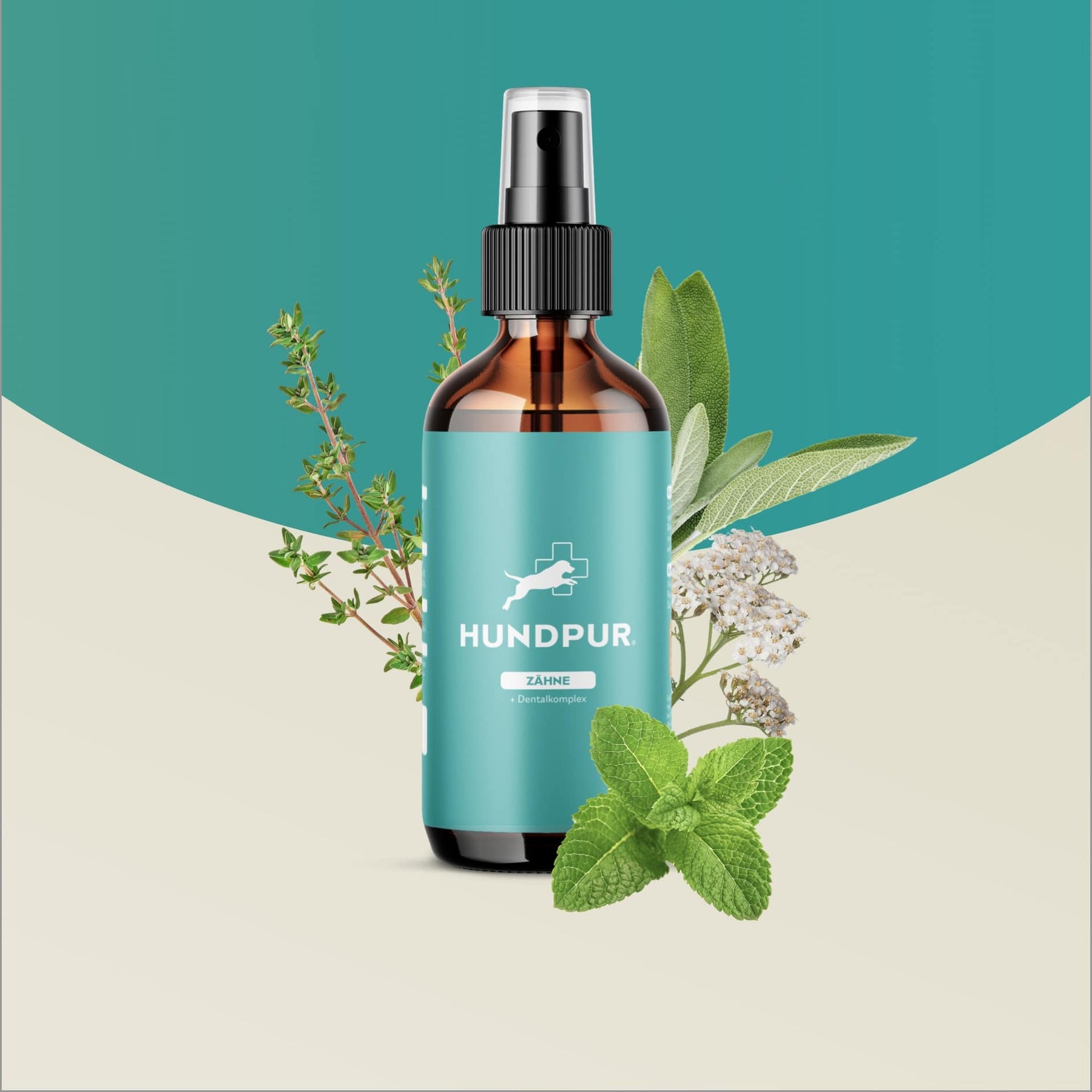 Hundpur® Dentalspray für Hunde