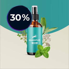 Hundpur® Dentalspray für Hunde