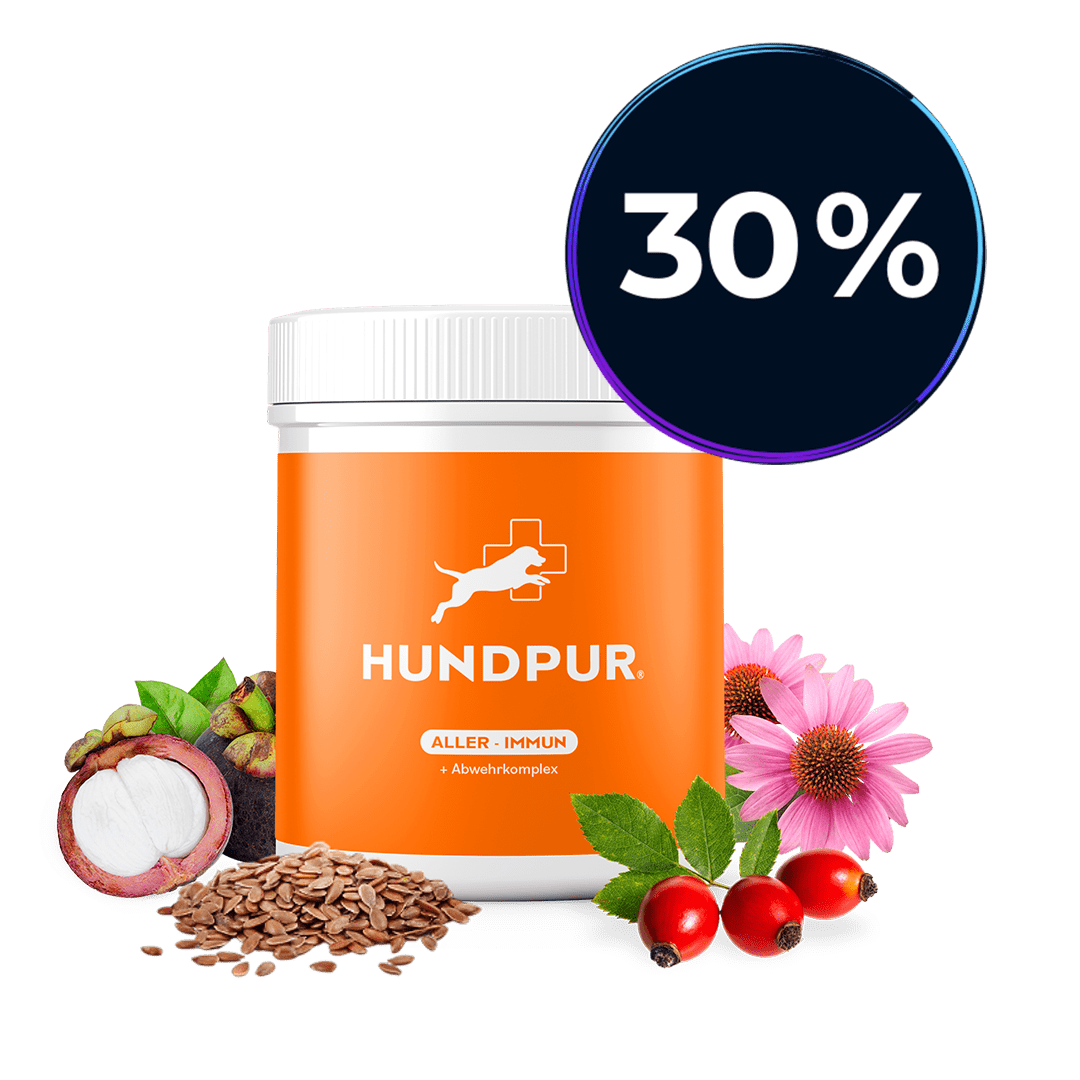 Hundpur® Aller-Immun mit Abwehr-Komplex