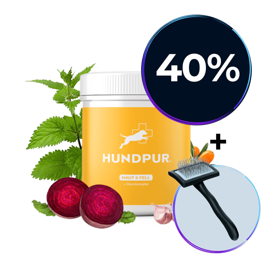 Hundpur® Haut & Fell Bundle
