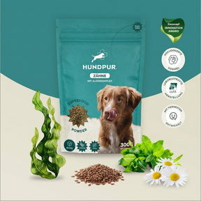 Hundpur® Zähne mit Algenkomplex