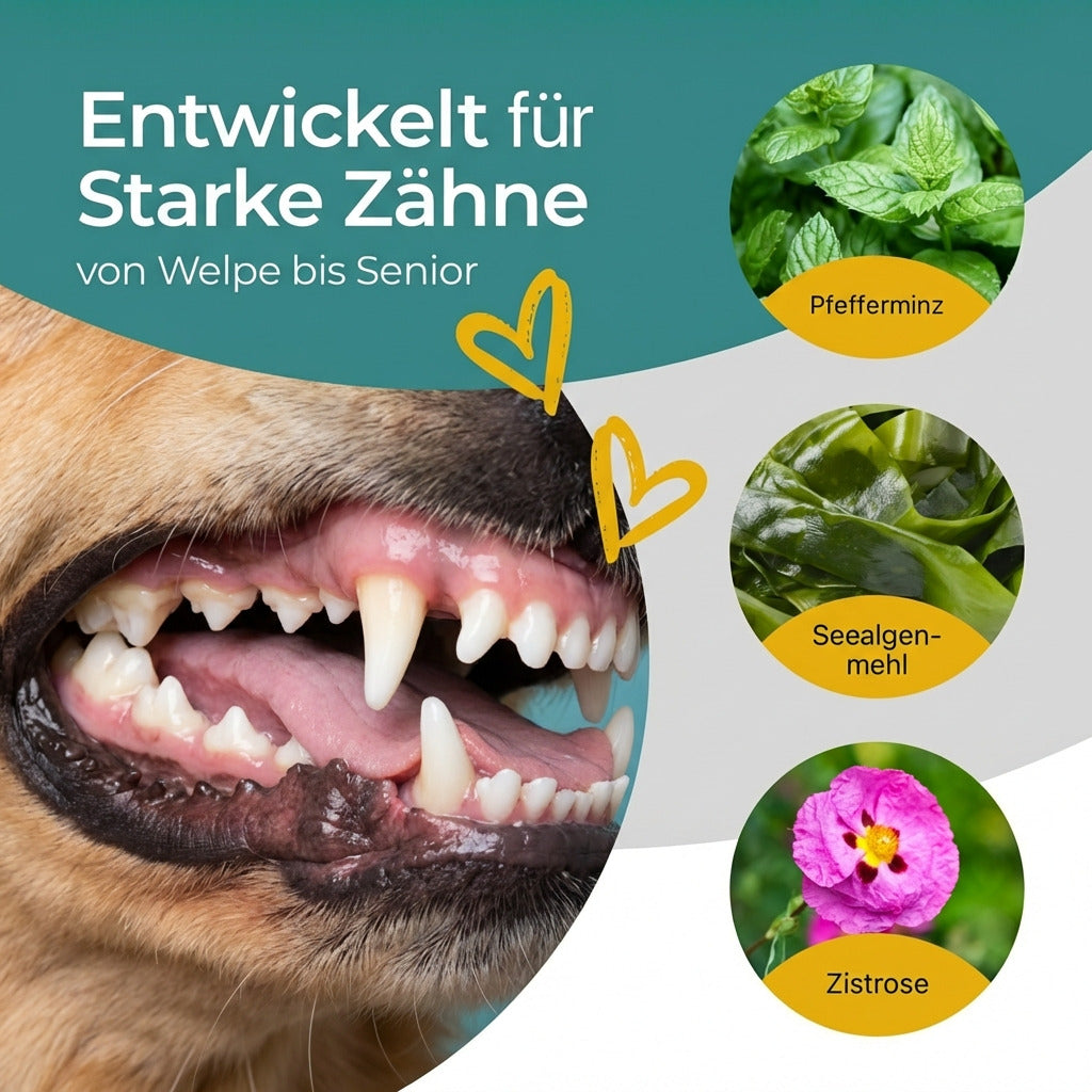 Hundpur® Zähne mit Algenkomplex