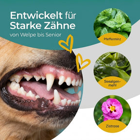 Hundpur® Zähne mit Algenkomplex