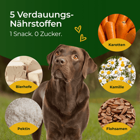 Hundpur® Magen & Darm Verdauungs-Snack