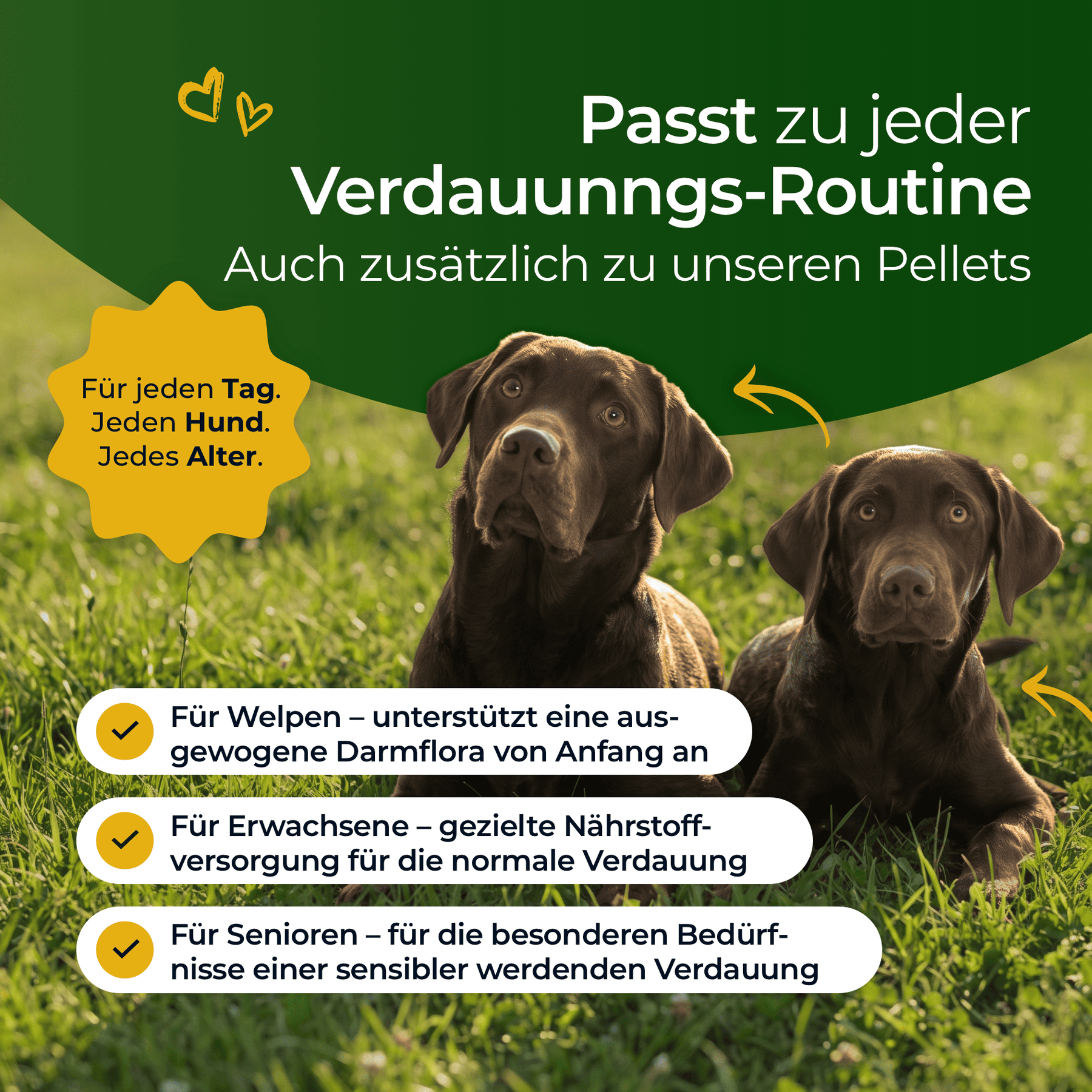 Hundpur® Magen & Darm Verdauungs-Snack