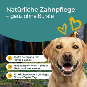Hundpur® Zähne mit Algenkomplex