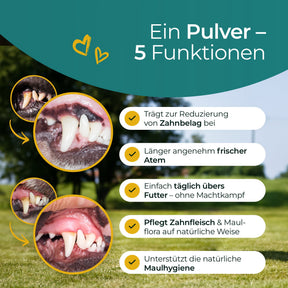 Hundpur® Zähne & Atem 20% Rabatt + GRATIS Dentalspray