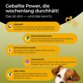 Hundpur® Zecken Tinktur mit Schutzkomplex 40% Rabatt