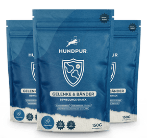 Hundpur® Gelenke & Bänder Bewegungs-Snack