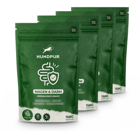 Hundpur® Magen & Darm Verdauungs-Snack