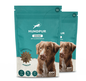 Hundpur® Zähne 3 für 2