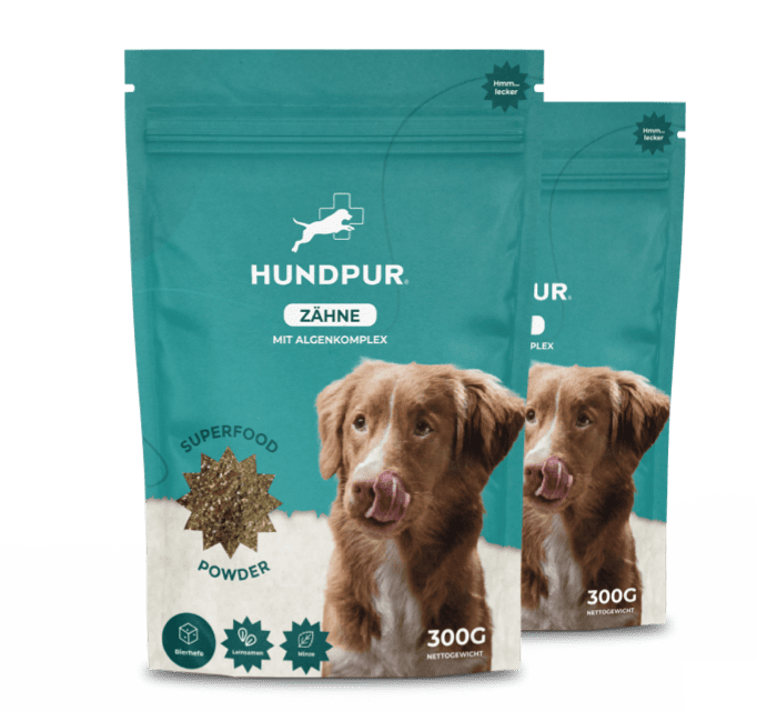 Hundpur® Zähne 3 für 2