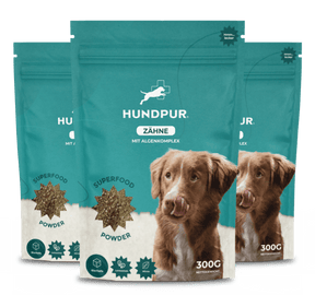 Hundpur® Zähne 3 für 2