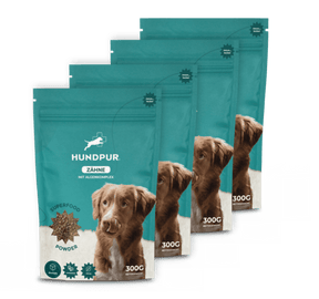 Hundpur® Zähne 3 für 2