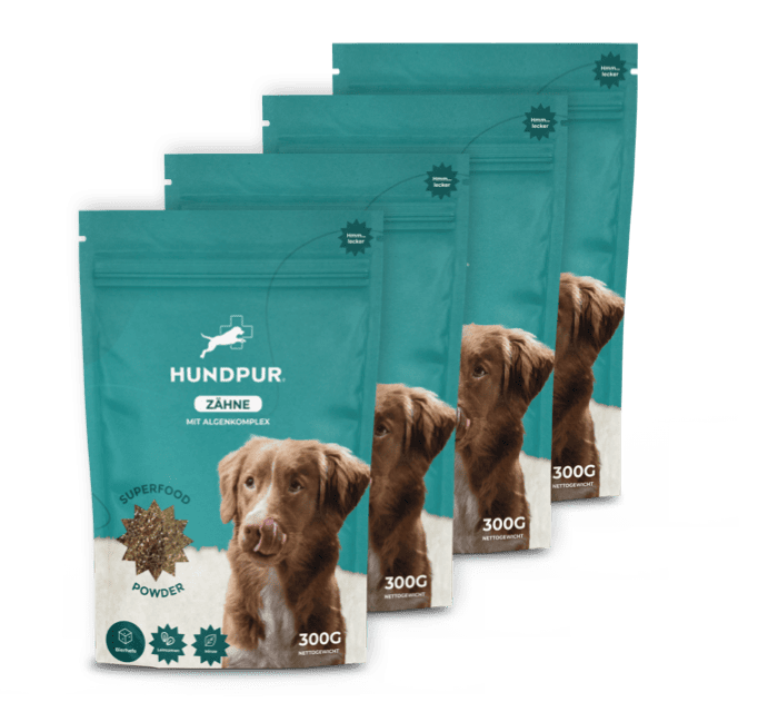 Hundpur® Zähne 3 für 2