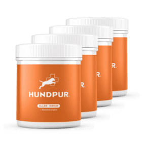 Hundpur® Aller-Immun 3 für 2